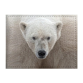 Обложка для студенческого билета с принтом Белый медведь в Петрозаводске, натуральная кожа | Размер: 11*8 см; Печать на всей внешней стороне | Тематика изображения на принте: animal | bear | eyes | head | north | polar | predator | white | wild | белый | взгляд | голова | дикий | животное | медведь | полярный | север | хищник