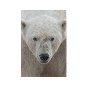 Обложка для паспорта матовая кожа с принтом Белый медведь в Петрозаводске, натуральная матовая кожа | размер 19,3 х 13,7 см; прозрачные пластиковые крепления | Тематика изображения на принте: animal | bear | eyes | head | north | polar | predator | white | wild | белый | взгляд | голова | дикий | животное | медведь | полярный | север | хищник