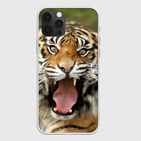 Чехол для iPhone 12 Pro Max с принтом Тигр в Петрозаводске, Силикон |  | Тематика изображения на принте: angry | animal | beast | jaws | predator | teeth | tiger | животное | зверь | злой | клыки | оскал | пасть | тигр | хищник
