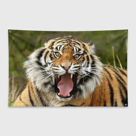 Флаг-баннер с принтом Тигр в Петрозаводске, 100% полиэстер | размер 67 х 109 см, плотность ткани — 95 г/м2; по краям флага есть четыре люверса для крепления | angry | animal | beast | jaws | predator | teeth | tiger | животное | зверь | злой | клыки | оскал | пасть | тигр | хищник