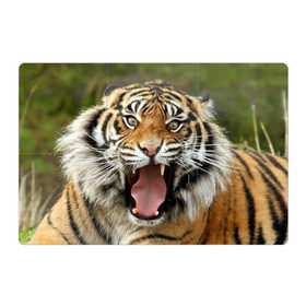 Магнитный плакат 3Х2 с принтом Тигр в Петрозаводске, Полимерный материал с магнитным слоем | 6 деталей размером 9*9 см | Тематика изображения на принте: angry | animal | beast | jaws | predator | teeth | tiger | животное | зверь | злой | клыки | оскал | пасть | тигр | хищник
