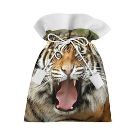 Подарочный 3D мешок с принтом Тигр в Петрозаводске, 100% полиэстер | Размер: 29*39 см | angry | animal | beast | jaws | predator | teeth | tiger | животное | зверь | злой | клыки | оскал | пасть | тигр | хищник