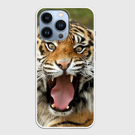 Чехол для iPhone 13 Pro с принтом Тигр в Петрозаводске,  |  | angry | animal | beast | jaws | predator | teeth | tiger | животное | зверь | злой | клыки | оскал | пасть | тигр | хищник