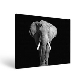 Холст прямоугольный с принтом Слон в Петрозаводске, 100% ПВХ |  | Тематика изображения на принте: africa | big | black   white | elephant is an animal | shroud | tusks | африка | бивни | большой | животное | идет | савана | слон | черно   белый