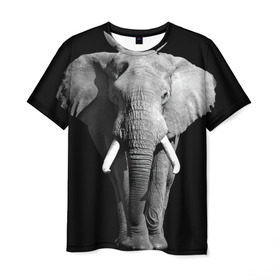 Мужская футболка 3D с принтом Слон в Петрозаводске, 100% полиэфир | прямой крой, круглый вырез горловины, длина до линии бедер | africa | big | black   white | elephant is an animal | shroud | tusks | африка | бивни | большой | животное | идет | савана | слон | черно   белый