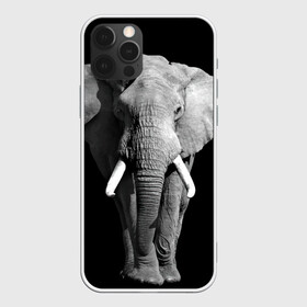 Чехол для iPhone 12 Pro с принтом Слон в Петрозаводске, силикон | область печати: задняя сторона чехла, без боковых панелей | africa | big | black   white | elephant is an animal | shroud | tusks | африка | бивни | большой | животное | идет | савана | слон | черно   белый