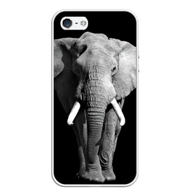 Чехол для iPhone 5/5S матовый с принтом Слон в Петрозаводске, Силикон | Область печати: задняя сторона чехла, без боковых панелей | africa | big | black   white | elephant is an animal | shroud | tusks | африка | бивни | большой | животное | идет | савана | слон | черно   белый