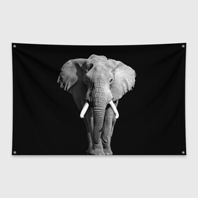 Флаг-баннер с принтом Слон в Петрозаводске, 100% полиэстер | размер 67 х 109 см, плотность ткани — 95 г/м2; по краям флага есть четыре люверса для крепления | africa | big | black   white | elephant is an animal | shroud | tusks | африка | бивни | большой | животное | идет | савана | слон | черно   белый