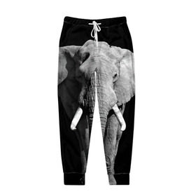 Мужские брюки 3D с принтом Слон в Петрозаводске, 100% полиэстер | манжеты по низу, эластичный пояс регулируется шнурком, по бокам два кармана без застежек, внутренняя часть кармана из мелкой сетки | africa | big | black   white | elephant is an animal | shroud | tusks | африка | бивни | большой | животное | идет | савана | слон | черно   белый