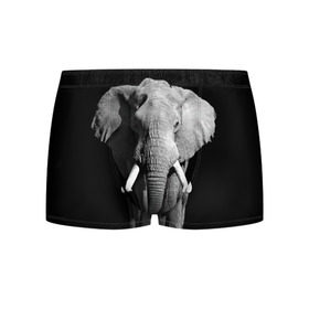 Мужские трусы 3D с принтом Слон в Петрозаводске, 50% хлопок, 50% полиэстер | классическая посадка, на поясе мягкая тканевая резинка | africa | big | black   white | elephant is an animal | shroud | tusks | африка | бивни | большой | животное | идет | савана | слон | черно   белый