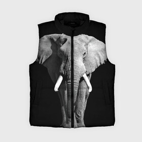 Женский жилет утепленный 3D с принтом Слон в Петрозаводске,  |  | africa | big | black   white | elephant is an animal | shroud | tusks | африка | бивни | большой | животное | идет | савана | слон | черно   белый