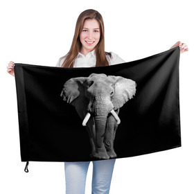 Флаг 3D с принтом Слон в Петрозаводске, 100% полиэстер | плотность ткани — 95 г/м2, размер — 67 х 109 см. Принт наносится с одной стороны | africa | big | black   white | elephant is an animal | shroud | tusks | африка | бивни | большой | животное | идет | савана | слон | черно   белый