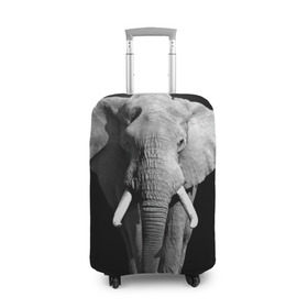 Чехол для чемодана 3D с принтом Слон в Петрозаводске, 86% полиэфир, 14% спандекс | двустороннее нанесение принта, прорези для ручек и колес | africa | big | black   white | elephant is an animal | shroud | tusks | африка | бивни | большой | животное | идет | савана | слон | черно   белый
