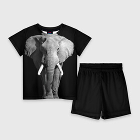 Детский костюм с шортами 3D с принтом Слон в Петрозаводске,  |  | africa | big | black   white | elephant is an animal | shroud | tusks | африка | бивни | большой | животное | идет | савана | слон | черно   белый