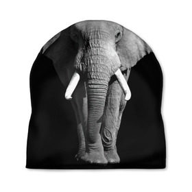 Шапка 3D с принтом Слон в Петрозаводске, 100% полиэстер | универсальный размер, печать по всей поверхности изделия | africa | big | black   white | elephant is an animal | shroud | tusks | африка | бивни | большой | животное | идет | савана | слон | черно   белый