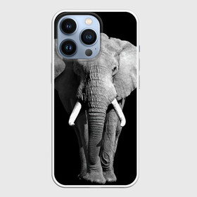 Чехол для iPhone 13 Pro с принтом Слон в Петрозаводске,  |  | africa | big | black   white | elephant is an animal | shroud | tusks | африка | бивни | большой | животное | идет | савана | слон | черно   белый