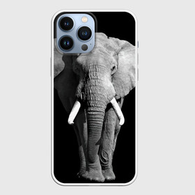 Чехол для iPhone 13 Pro Max с принтом Слон в Петрозаводске,  |  | Тематика изображения на принте: africa | big | black   white | elephant is an animal | shroud | tusks | африка | бивни | большой | животное | идет | савана | слон | черно   белый