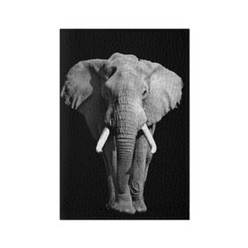 Обложка для паспорта матовая кожа с принтом Слон в Петрозаводске, натуральная матовая кожа | размер 19,3 х 13,7 см; прозрачные пластиковые крепления | africa | big | black   white | elephant is an animal | shroud | tusks | африка | бивни | большой | животное | идет | савана | слон | черно   белый