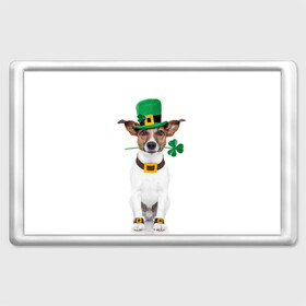 Магнит 45*70 с принтом Ирландия в Петрозаводске, Пластик | Размер: 78*52 мм; Размер печати: 70*45 | animal | breed | clover | dog | folk | fun | funny | hat | hero | ireland | irish | saint patrick | герой | животное | ирландия | ирландский | клевер | народный | порода | прикол | святой патрик | собака | шляпа | шутка