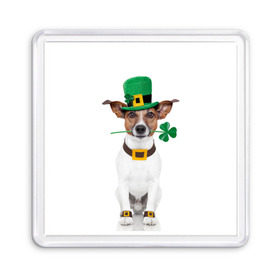 Магнит 55*55 с принтом Ирландия в Петрозаводске, Пластик | Размер: 65*65 мм; Размер печати: 55*55 мм | Тематика изображения на принте: animal | breed | clover | dog | folk | fun | funny | hat | hero | ireland | irish | saint patrick | герой | животное | ирландия | ирландский | клевер | народный | порода | прикол | святой патрик | собака | шляпа | шутка