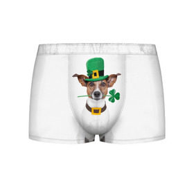 Мужские трусы 3D с принтом Ирландия в Петрозаводске, 50% хлопок, 50% полиэстер | классическая посадка, на поясе мягкая тканевая резинка | animal | breed | clover | dog | folk | fun | funny | hat | hero | ireland | irish | saint patrick | герой | животное | ирландия | ирландский | клевер | народный | порода | прикол | святой патрик | собака | шляпа | шутка