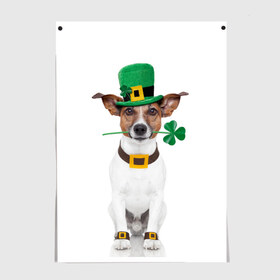 Постер с принтом Ирландия в Петрозаводске, 100% бумага
 | бумага, плотность 150 мг. Матовая, но за счет высокого коэффициента гладкости имеет небольшой блеск и дает на свету блики, но в отличии от глянцевой бумаги не покрыта лаком | animal | breed | clover | dog | folk | fun | funny | hat | hero | ireland | irish | saint patrick | герой | животное | ирландия | ирландский | клевер | народный | порода | прикол | святой патрик | собака | шляпа | шутка