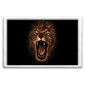 Магнит 45*70 с принтом Львиный рык в Петрозаводске, Пластик | Размер: 78*52 мм; Размер печати: 70*45 | Тематика изображения на принте: animal | beast | cat | feline | king | lion | meow | pussy | rage | roar | животное | зверь | король | кот | кошка | лев | львица | мяу | рык | хищник | царь | ярость