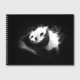 Альбом для рисования с принтом Молочная панда в Петрозаводске, 100% бумага
 | матовая бумага, плотность 200 мг. | Тематика изображения на принте: animal | bear | beast | milk | nature | panda | животное | зверь | медведь | молоко | панда | природа