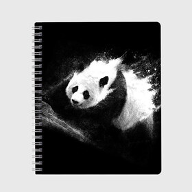 Тетрадь с принтом Молочная панда в Петрозаводске, 100% бумага | 48 листов, плотность листов — 60 г/м2, плотность картонной обложки — 250 г/м2. Листы скреплены сбоку удобной пружинной спиралью. Уголки страниц и обложки скругленные. Цвет линий — светло-серый
 | Тематика изображения на принте: animal | bear | beast | milk | nature | panda | животное | зверь | медведь | молоко | панда | природа