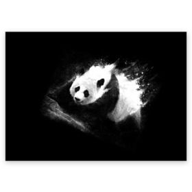 Поздравительная открытка с принтом Молочная панда в Петрозаводске, 100% бумага | плотность бумаги 280 г/м2, матовая, на обратной стороне линовка и место для марки
 | Тематика изображения на принте: animal | bear | beast | milk | nature | panda | животное | зверь | медведь | молоко | панда | природа