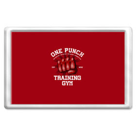 Магнит 45*70 с принтом One Punch Gym в Петрозаводске, Пластик | Размер: 78*52 мм; Размер печати: 70*45 | boxing | combat | fight | fighter | kickboxing | muay thai | wrestling | боец | бой | бокс | боксер | драка | кикбоксинг | май тай