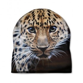 Шапка 3D с принтом Леопард в Петрозаводске, 100% полиэстер | универсальный размер, печать по всей поверхности изделия | взгляд | глаза | дикая кошка | леопард | хищник