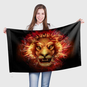 Флаг 3D с принтом Огненный лев в Петрозаводске, 100% полиэстер | плотность ткани — 95 г/м2, размер — 67 х 109 см. Принт наносится с одной стороны | animal | fire | flame | head | lion | look | predator | взгляд | голова | животное | лев | огненный | огонь | пламя | хищник