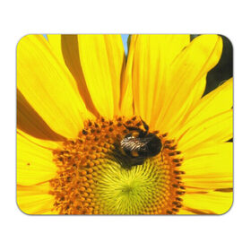 Коврик прямоугольный с принтом пчела на подсолнухе в Петрозаводске, натуральный каучук | размер 230 х 185 мм; запечатка лицевой стороны | лето | насекомое | подсолнух | пчела