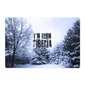 Магнитный плакат 3Х2 с принтом Я из Сибири в Петрозаводске, Полимерный материал с магнитным слоем | 6 деталей размером 9*9 см | Тематика изображения на принте: siberia | зима | россия | сибирь | снег | холод