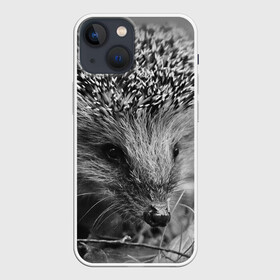 Чехол для iPhone 13 mini с принтом Ежик в Петрозаводске,  |  | ежик | животные | колючки | природа
