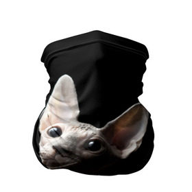 Бандана-труба 3D с принтом Сфинкс в Петрозаводске, 100% полиэстер, ткань с особыми свойствами — Activecool | плотность 150‒180 г/м2; хорошо тянется, но сохраняет форму | black | cat | взгляд | кот | котик | котэ | кошка | сфинкс | уши | черный