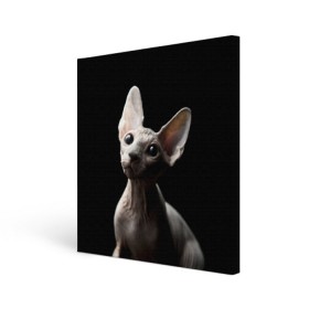 Холст квадратный с принтом Сфинкс в Петрозаводске, 100% ПВХ |  | Тематика изображения на принте: black | cat | взгляд | кот | котик | котэ | кошка | сфинкс | уши | черный
