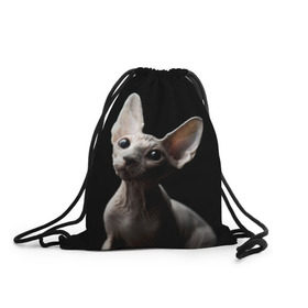 Рюкзак-мешок 3D с принтом Сфинкс в Петрозаводске, 100% полиэстер | плотность ткани — 200 г/м2, размер — 35 х 45 см; лямки — толстые шнурки, застежка на шнуровке, без карманов и подкладки | black | cat | взгляд | кот | котик | котэ | кошка | сфинкс | уши | черный