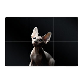 Магнитный плакат 3Х2 с принтом Сфинкс в Петрозаводске, Полимерный материал с магнитным слоем | 6 деталей размером 9*9 см | black | cat | взгляд | кот | котик | котэ | кошка | сфинкс | уши | черный