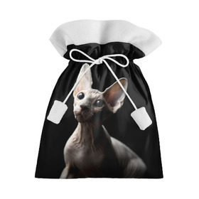 Подарочный 3D мешок с принтом Сфинкс в Петрозаводске, 100% полиэстер | Размер: 29*39 см | Тематика изображения на принте: black | cat | взгляд | кот | котик | котэ | кошка | сфинкс | уши | черный