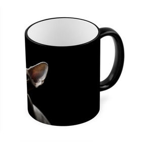 Кружка 3D с принтом Сфинкс в Петрозаводске, керамика | ёмкость 330 мл | Тематика изображения на принте: black | cat | взгляд | кот | котик | котэ | кошка | сфинкс | уши | черный