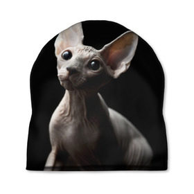 Шапка 3D с принтом Сфинкс в Петрозаводске, 100% полиэстер | универсальный размер, печать по всей поверхности изделия | black | cat | взгляд | кот | котик | котэ | кошка | сфинкс | уши | черный