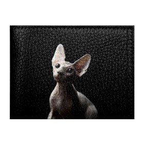 Обложка для студенческого билета с принтом Сфинкс в Петрозаводске, натуральная кожа | Размер: 11*8 см; Печать на всей внешней стороне | Тематика изображения на принте: black | cat | взгляд | кот | котик | котэ | кошка | сфинкс | уши | черный
