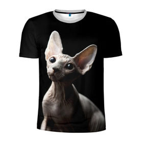 Мужская футболка 3D спортивная с принтом Сфинкс в Петрозаводске, 100% полиэстер с улучшенными характеристиками | приталенный силуэт, круглая горловина, широкие плечи, сужается к линии бедра | black | cat | взгляд | кот | котик | котэ | кошка | сфинкс | уши | черный