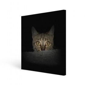 Холст квадратный с принтом Котик в Петрозаводске, 100% ПВХ |  | животные | кот | котенок | котик | кошка