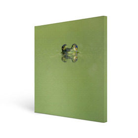 Холст квадратный с принтом Лягушка в Петрозаводске, 100% ПВХ |  | Тематика изображения на принте: болото | жаба | животные | лягушка