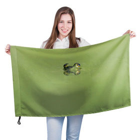 Флаг 3D с принтом Лягушка в Петрозаводске, 100% полиэстер | плотность ткани — 95 г/м2, размер — 67 х 109 см. Принт наносится с одной стороны | болото | жаба | животные | лягушка