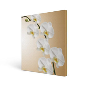 Холст квадратный с принтом Orhid в Петрозаводске, 100% ПВХ |  | девушки | красота | орхидея | прелесть | цветы