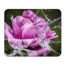 Коврик прямоугольный с принтом Душа цветов в Петрозаводске, натуральный каучук | размер 230 х 185 мм; запечатка лицевой стороны | бабочка | букет | вода | девушки | душа | красота | прелесть | роза | розы | цветы